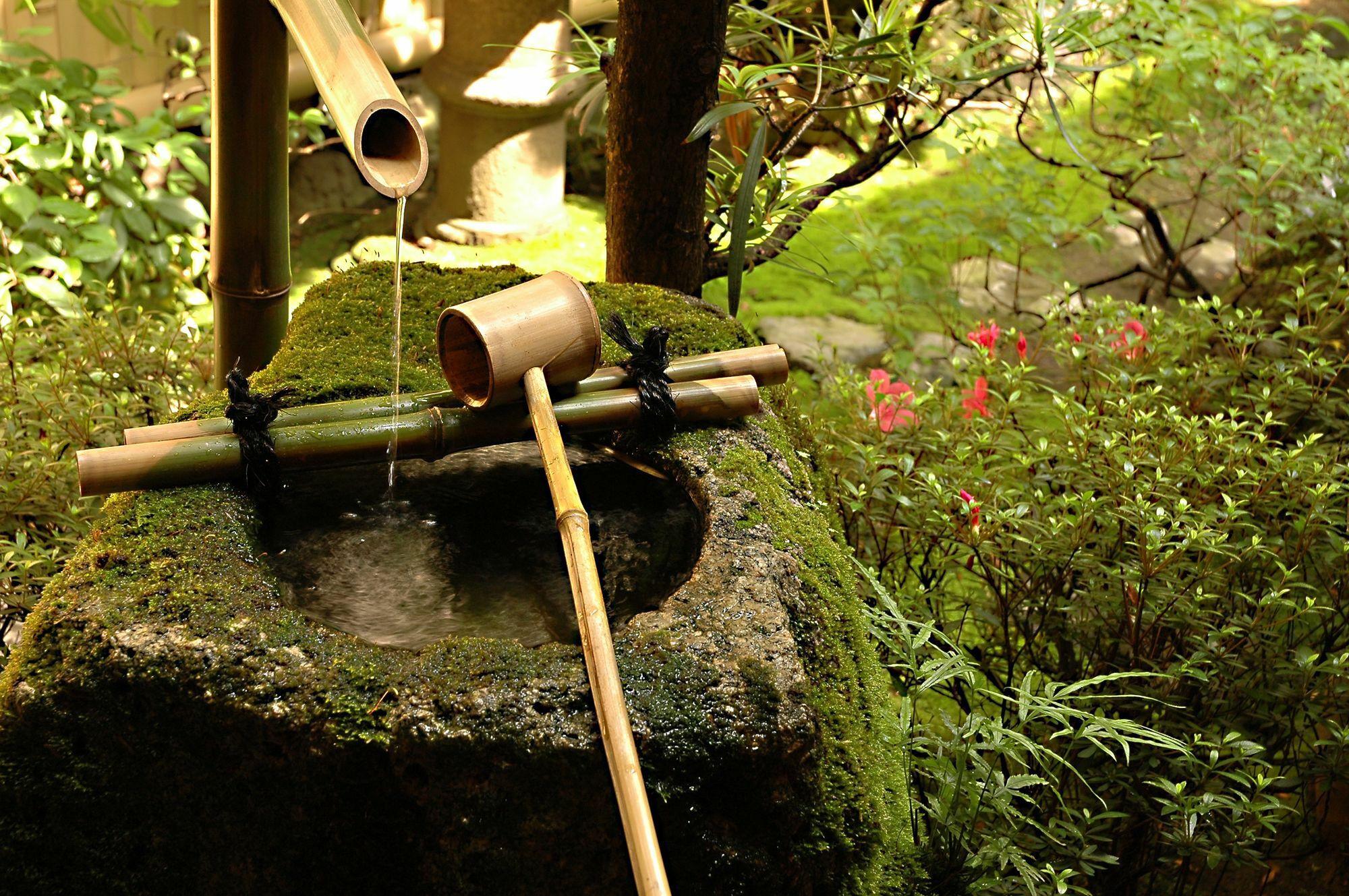 Ryokan Motonago Kyoto Ngoại thất bức ảnh